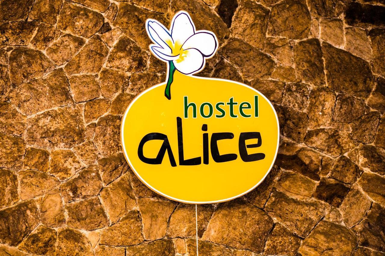 Hostel Alice E Padoca Vegan São Paulo Exteriör bild